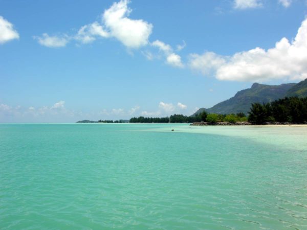 Picture of the Seychelles