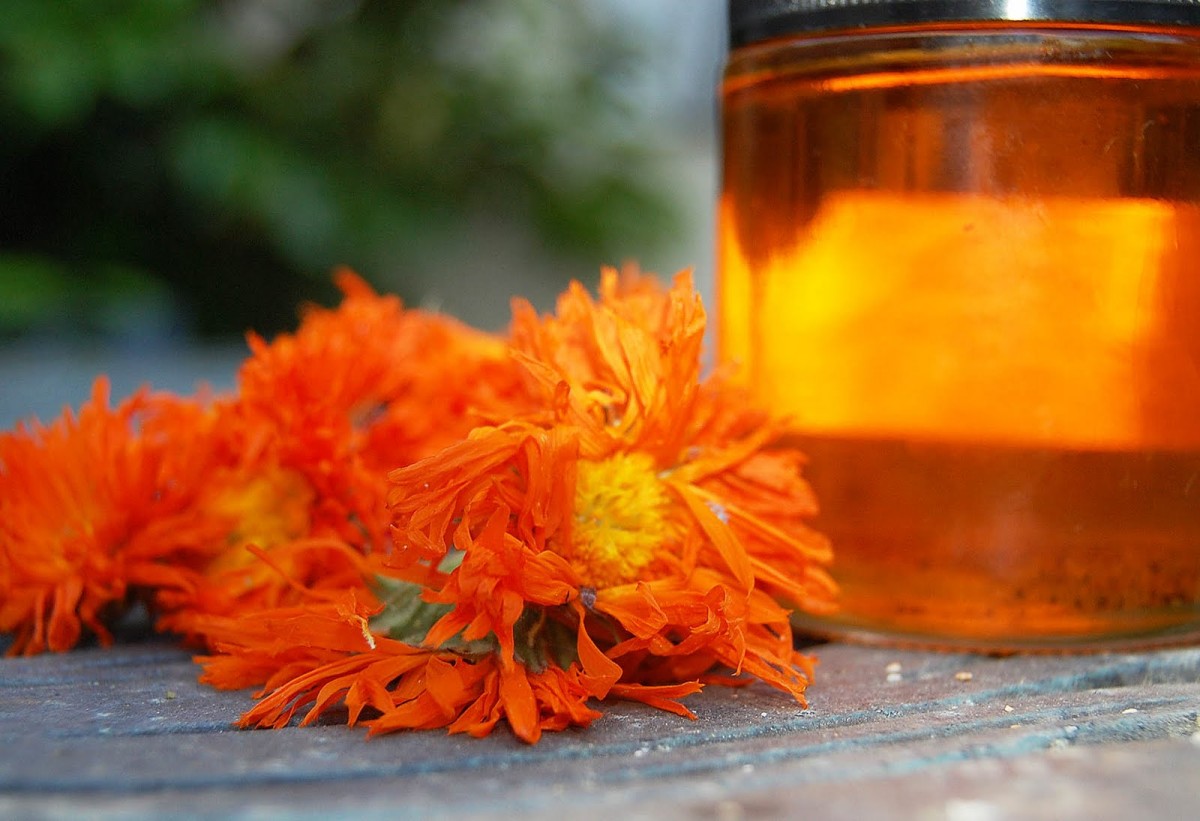 Calendula oil
