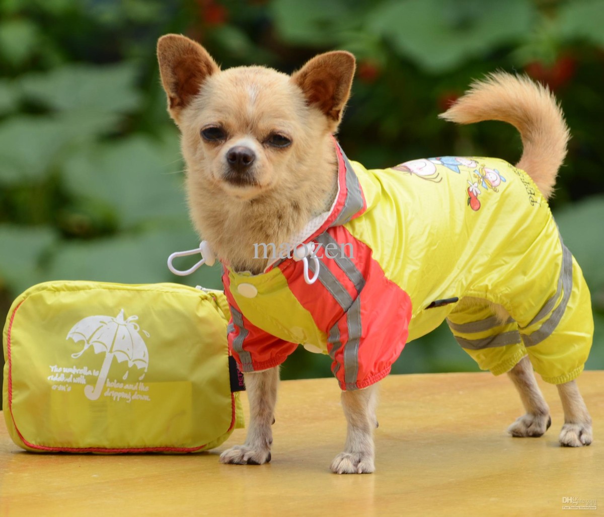 Dog Raincoat (Image: dhgate.com)