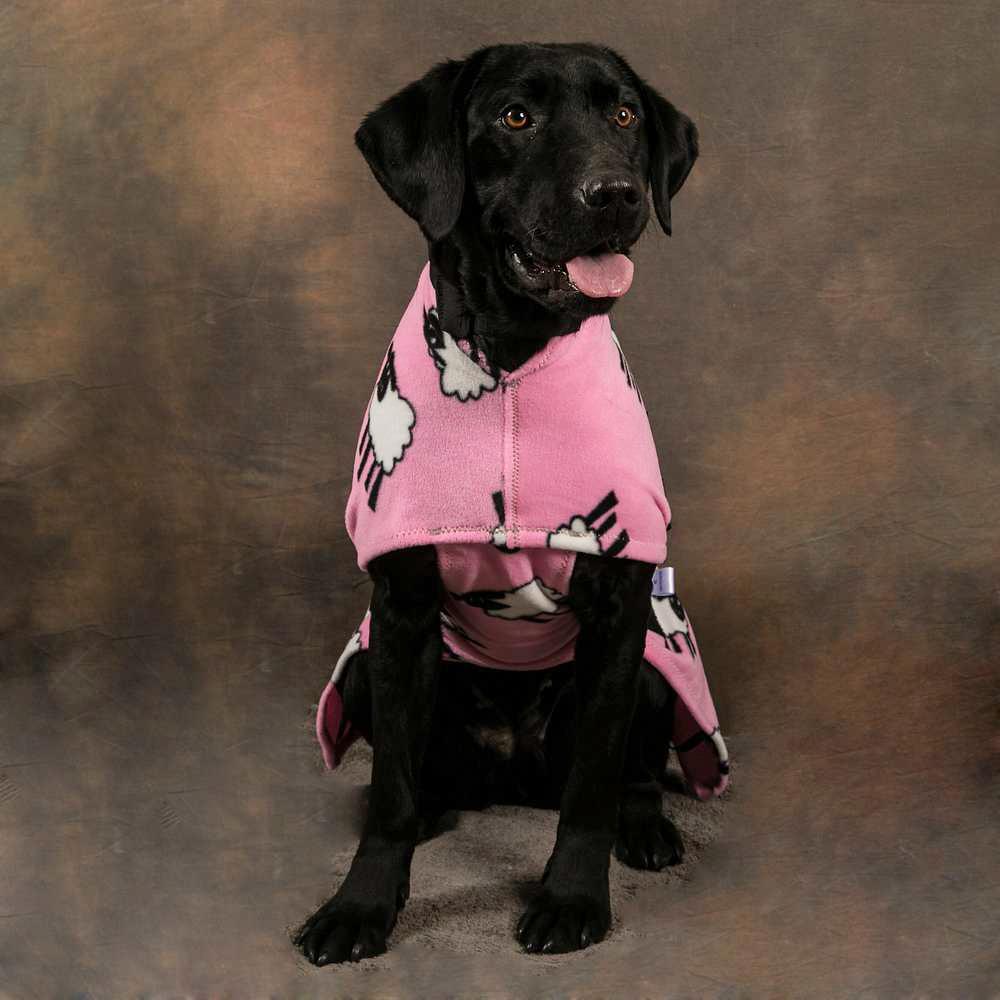 Pink Sheep Coat (Image: snuggyhoods.com)