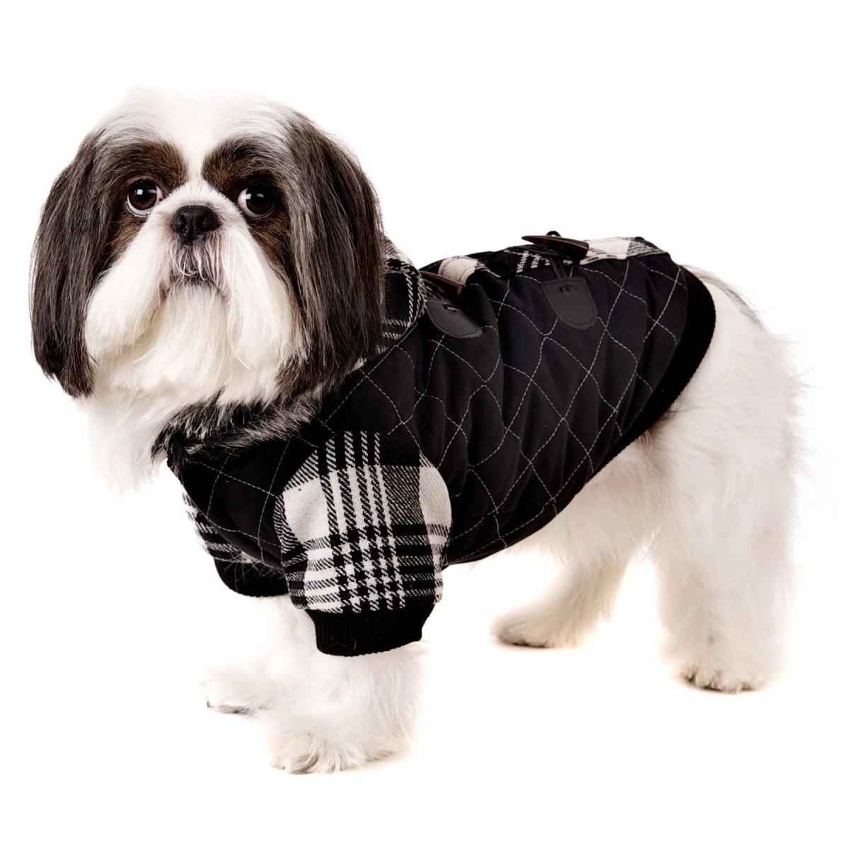 Luxury Leather Coat (Image: petticoats.com)