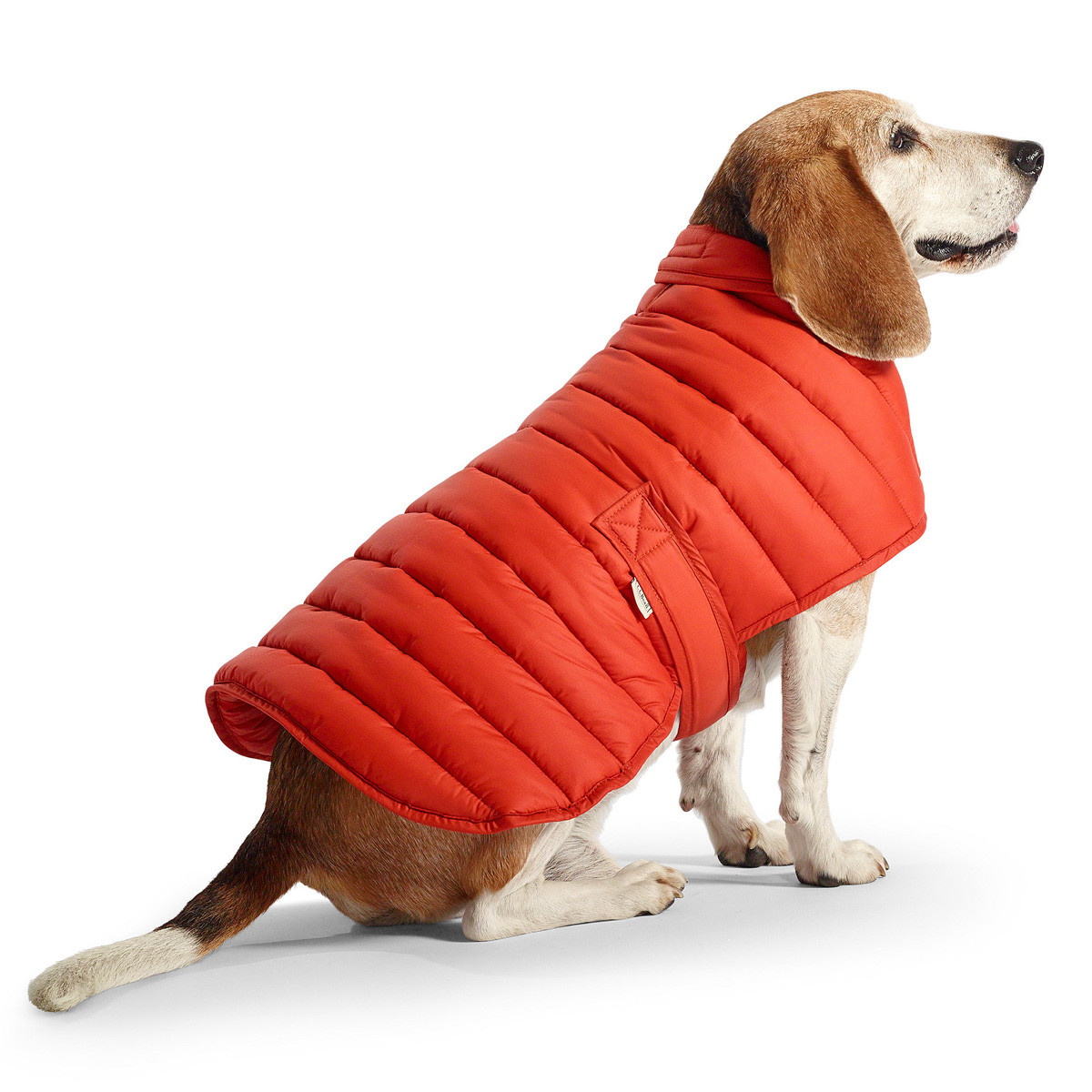 Pet Parka (Image: greenbead.com)