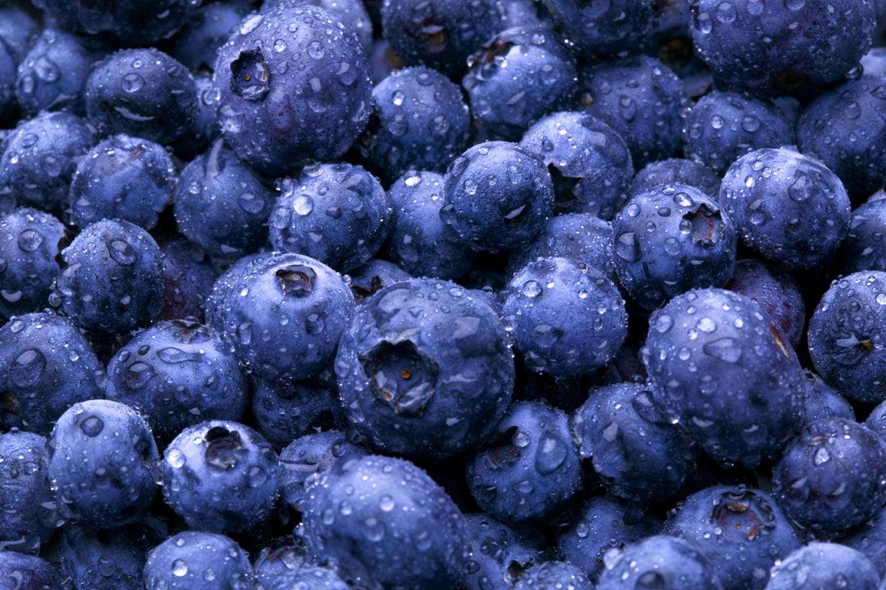 Blueberries
