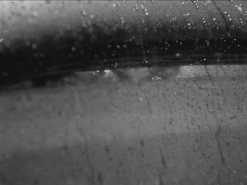 A GIF of rain