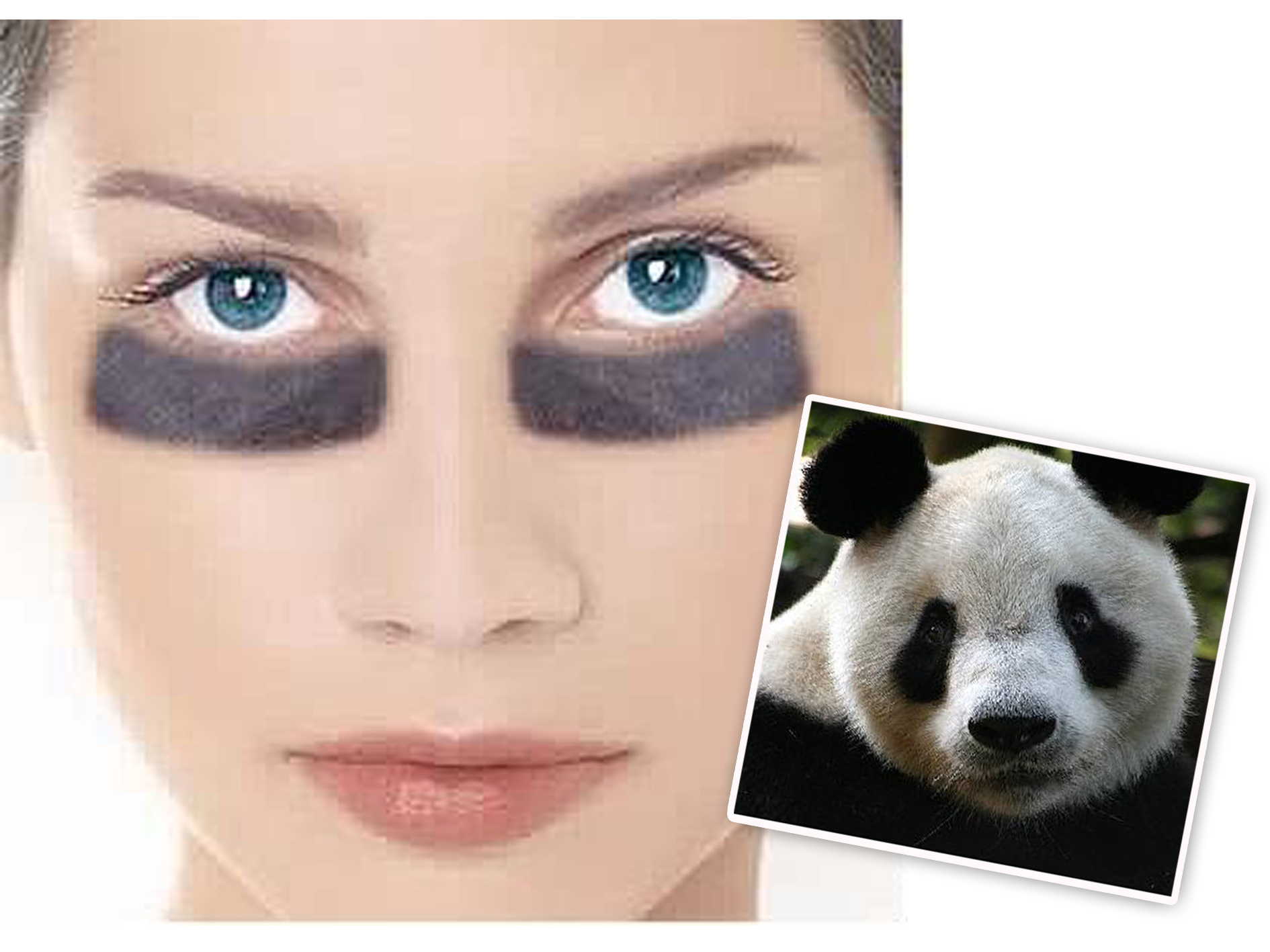 Panda eyes