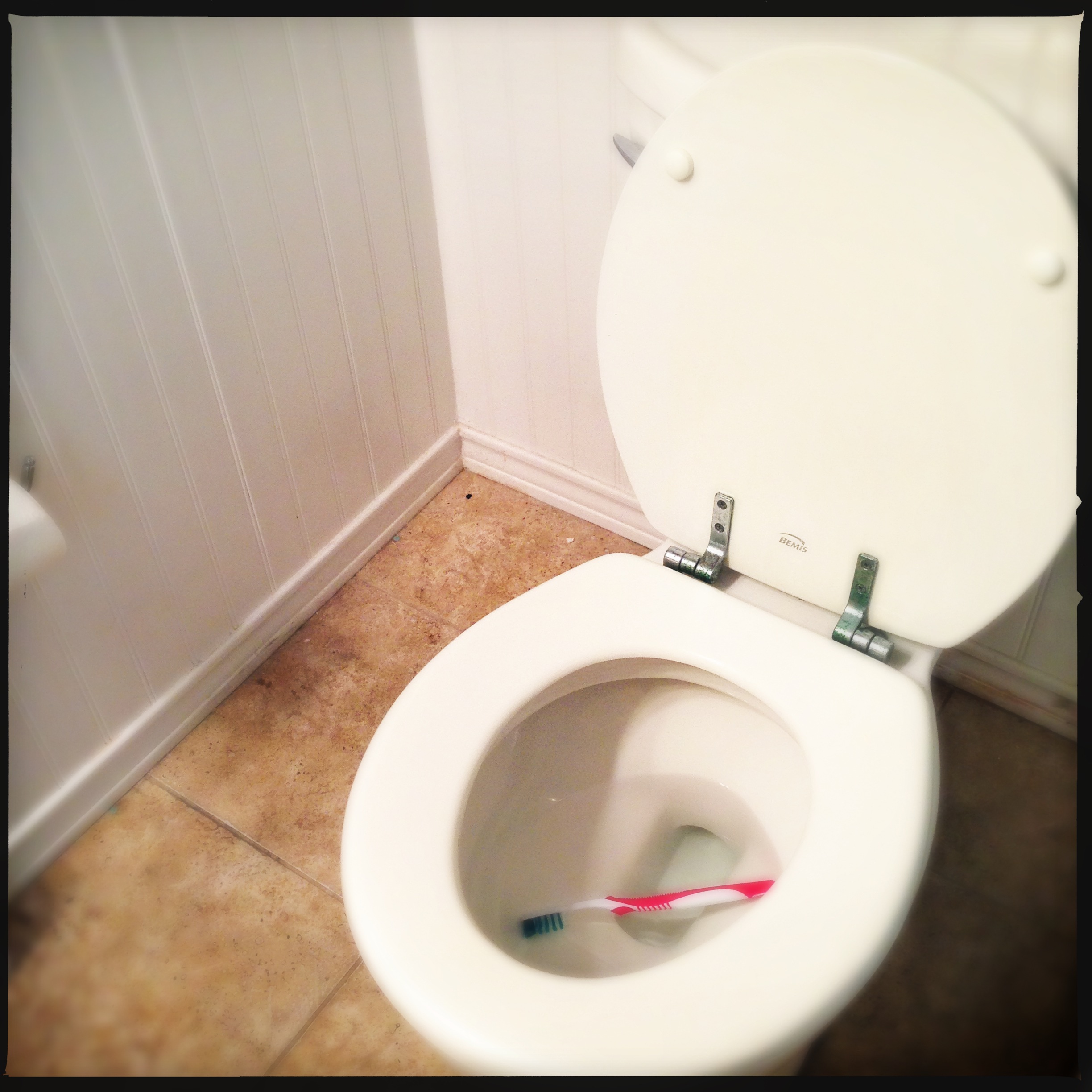Toothbrush in toilet