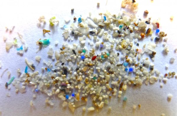 Microbes