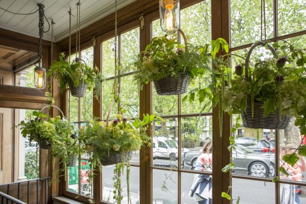 Belgravia in bloom