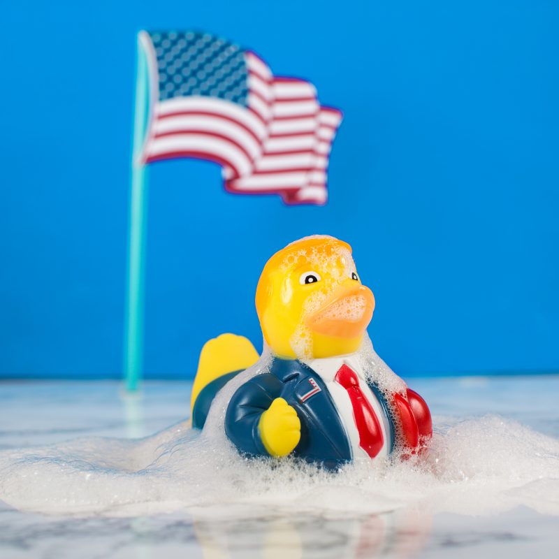prezzybox donald trump duck