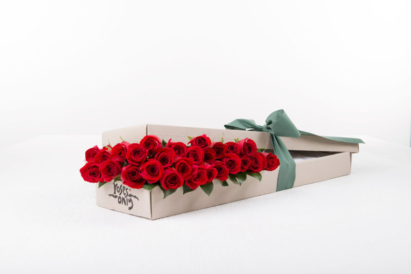 rose only gift